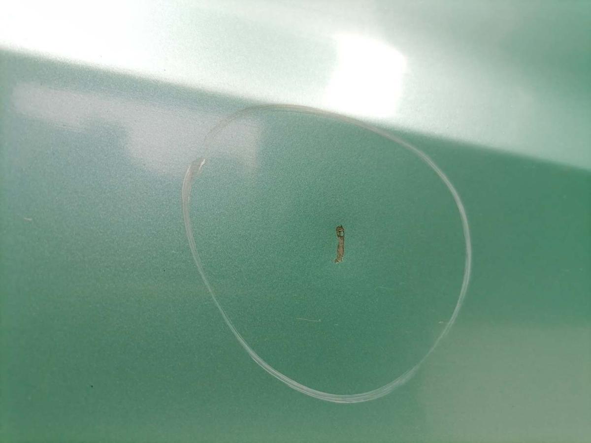 Opel Corsa C original Tür rechts Z397-Spearmintgrünmet. 3-Türer Bj.2003